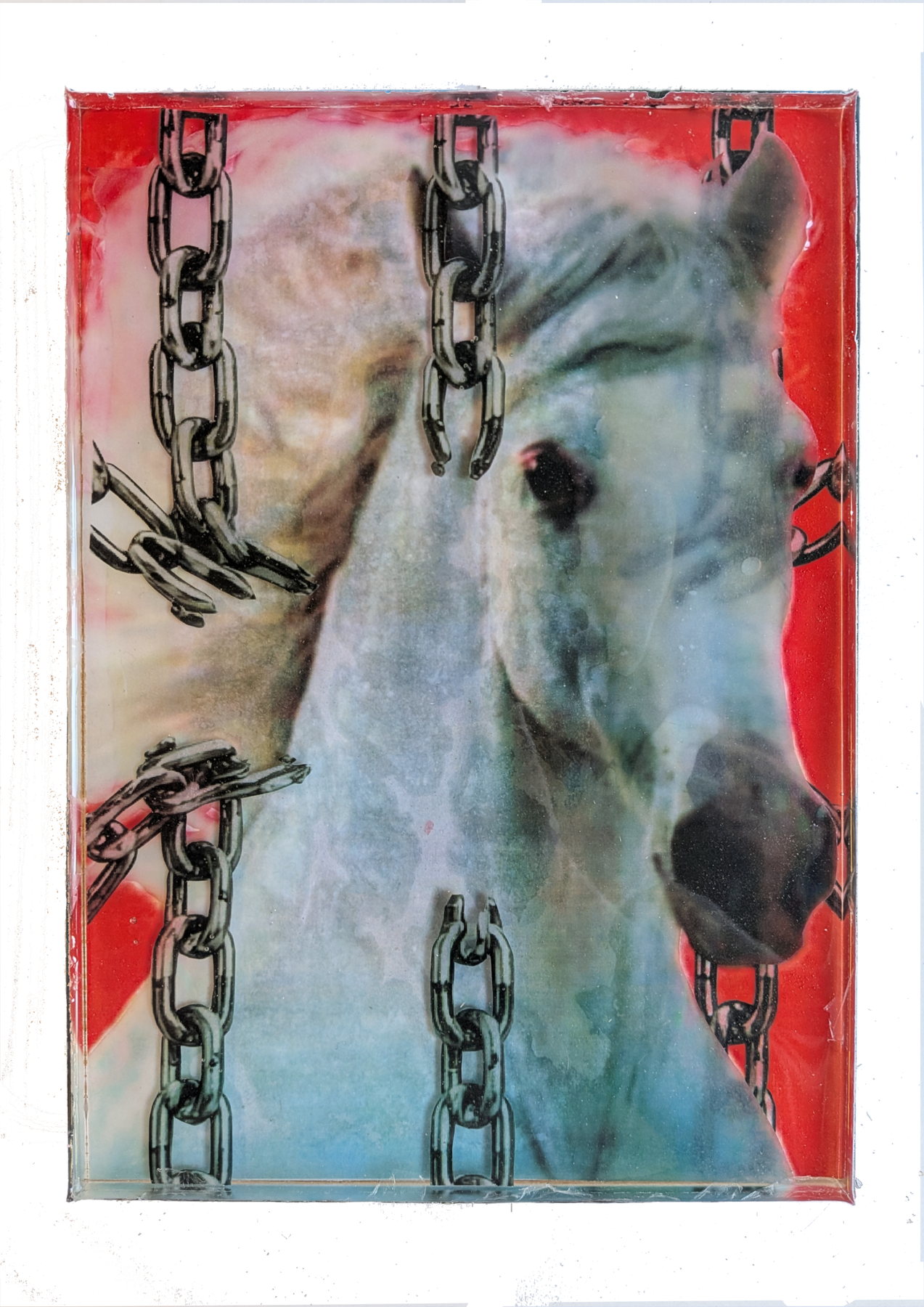 The New Order, image 3